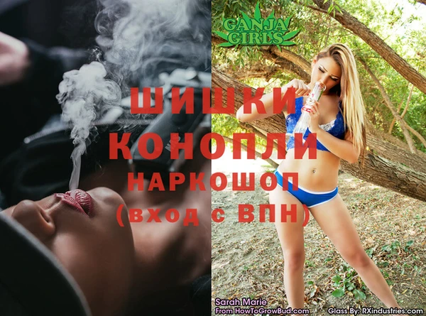 амф Алексин