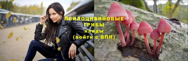 амф Алексин